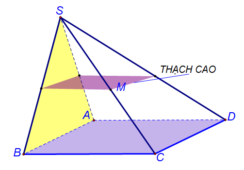 Hình minh họa câu hỏi